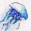 marinatempest: (Jellyfish)