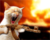 supertights: Gif of an angry cat firing a gun (Gun)