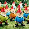 fh_grad: (gnomes - army)