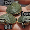 obstinatrix: (billdelen)
