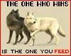 lollypox: (the wolf who wins)