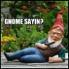 metallherz: (Gnome sayin)