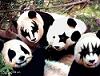 geminigirl: (Kiss Pandas)
