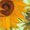 khiela: Close-up of a painted sunflower (Sunflower)