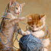 mmouse15: Two kittens playing with yarn (Kitten yarn)