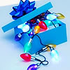sujuexchange: (4)