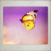 purple_crocus: (butterfly)