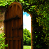 sarantia: (hidden door roxicons)