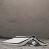 blue_lotus13: (book)