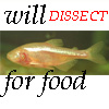 delfinnium: (Default)