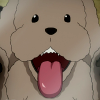 icicle33: (Makkachin)