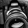 crazyscot: Black and white close-up of a DSLR with long lens (photography)