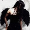 sheeploverain: (Dark Angel)