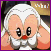 joexnz: (brainy - wha!!)