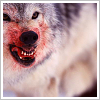 zan: (Basic: Wolf)
