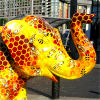 rich_jacko: (Herd of Sheffield - Elephant in the Hive)
