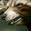 trash_panda: (Game face)