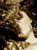 katestine: (langorous)