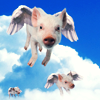 grundyscribbling: picture of flying pigs (flying pigs)