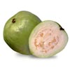 bytebuster: (Farang-Guava)