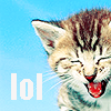 ravenrants: (cats: LOL Cat)