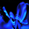vampwillow: my glowsticks create a pattern on a long exposure (blue)