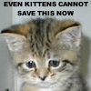 reisha_lynn: (kittens can't save this.)