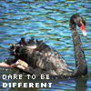 vampwillow: dare to be different (different)