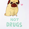 jesters: <user name=xoxomiia site=livejournal.com> → <user name=xoxohellokitty site=livejournal.com> ([ Pugs Not Drugs ])