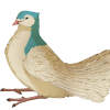 espigeon: (03)