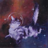 dine: (space cat)