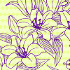 adanceforyi: drawing of two flowers on a yellowish background (Default)