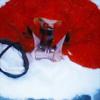 meganbmoore: (red riding hood)