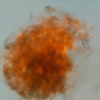 fbhjr: (Fire ball)