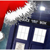 bimo: (Tardis_christmas)