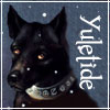 opalmatrix: An intelligent-looking black dog whose collar has mysterious runes on it. The caption is 'Yuletide.' (Yuletide Dog)