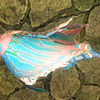 mutesiren: (legs ♆ Boon and bane—O)
