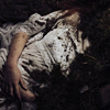 gooseburied: (Buried.)