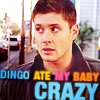 anoyo: Dean looking incredulous, text "Dingo ate my baby crazy" (spn dingo ate my baby crazy)