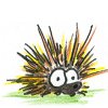 tazlet: (shocked porcupine)