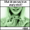 hagar_972: "What do you say to an angry witch?" "Ribbit." (Ribbit)