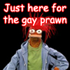 tarotgal: (Gay Prawn)