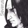 tarotgal: (Snape)