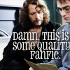 reijamira: [HP] Harry Sirius quality fic