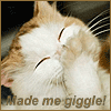 wherdafux_d_cat: (giggle)
