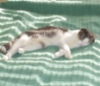 vecturist: (max2)