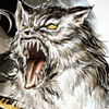 finaltoccata: (Soul of Wolf)