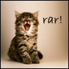 trouble: Wee little kitten, mouth open, with "rar!" in the corner (Rar!)