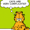 sarcasticsra: A picture of Garfield on a green background, thinking, "Cats are very complicated." (garfield: cats are complicated)