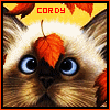 cordykitten: (catwench Cordy-Icon)